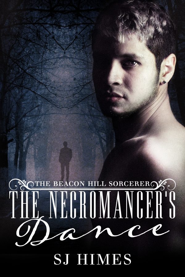 The Necromancer's Reckoning by S.J. Himes