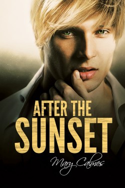 after the sunset mary calmes
