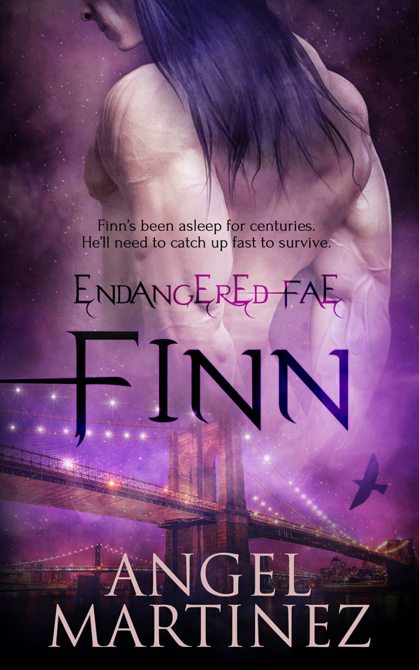 Book Cover: Finn
