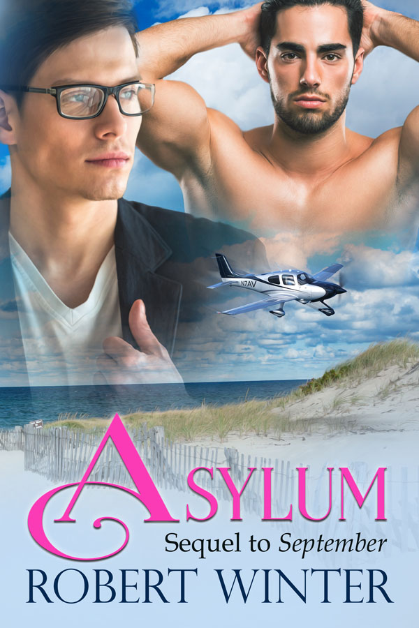 Asylum - Robert Winter