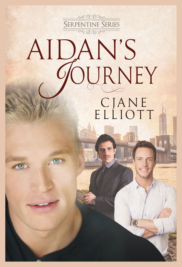 Aidan's Journey - CJane Elliott - Serpentine Series