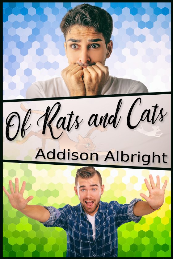 Of Rats and Cats - Addison Albright