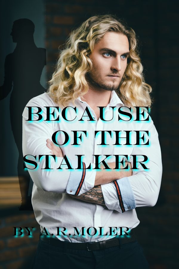 Because of the Stalker - A.R. Moler