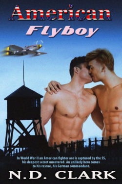 American Flyboy - N.D. Clark