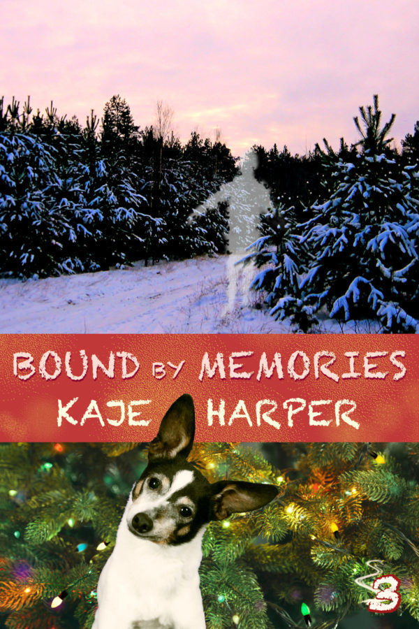 Bound by Memories - Kaje Harper