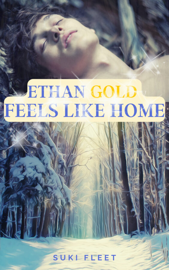 Ethan Gold Fels Like Home - Suki Fleet