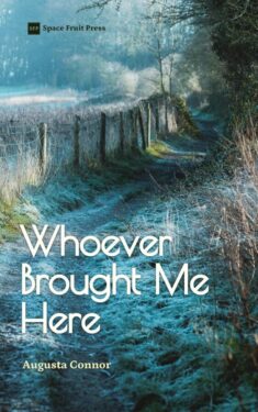 Whoever Brought Me Here - Augusta Connor