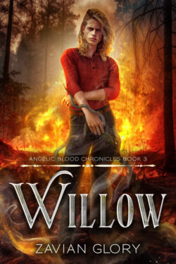 Book Cover: Willow