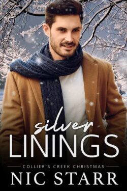 Book Cover: Silver Linings