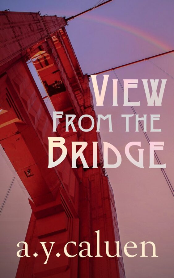 Book Cover: View From The Bridge