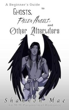 Book Cover: A Beginner's Guide to Ghosts, Fallen Angels, and Other Afterlifers