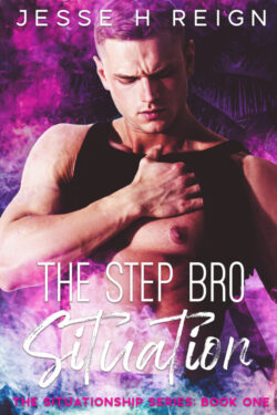 Book Cover: The Step Bro Situation