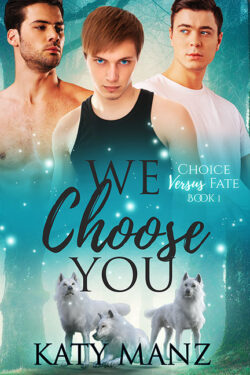 We Choose You - Katy Manz - Choice Versus Fate