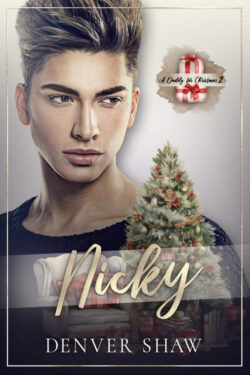 Book Cover: A Daddy for Christmas 2: Nicky