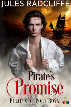 Book Cover: Pirate's Promise