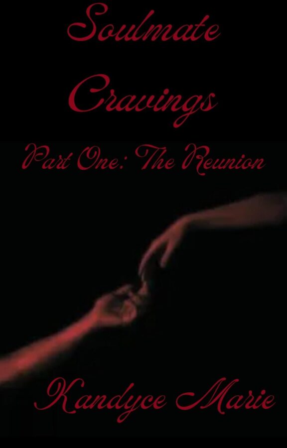 Book Cover: Soulmate Cravings Part One: The Reunion