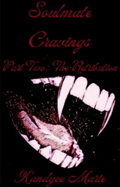 Book Cover: Soulmate Cravings Part Two: The Retribution