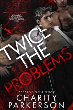 Book Cover: Twice the Problems