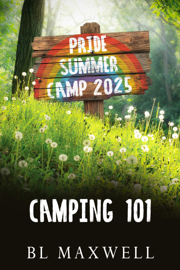 Book Cover: Camping 101