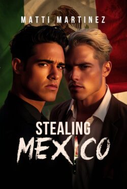 Stealing Mexico - Matti Martinez