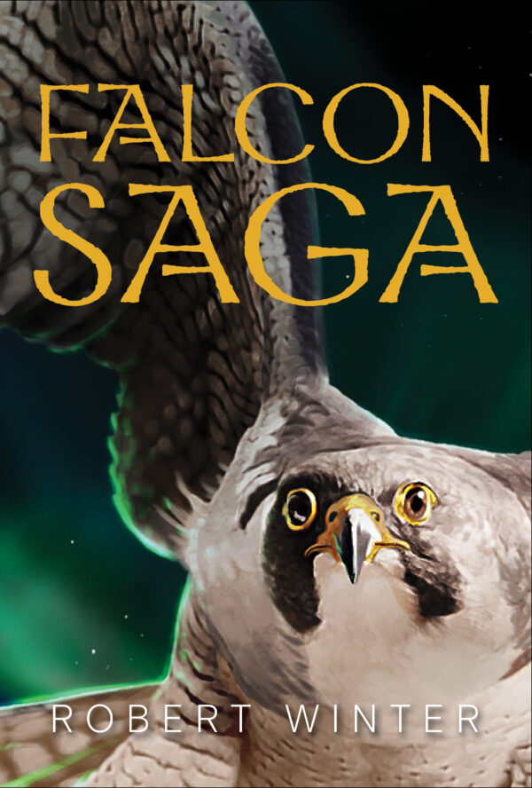 Book Cover: Falcon Saga