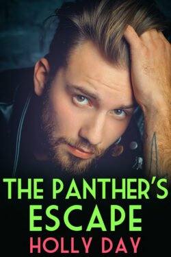 Book Cover: The Panther's Escape