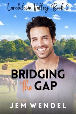 Bridging the Gap - Jem Wendel - Larchdown Valley