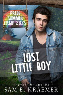 Book Cover: Lost Little Boy